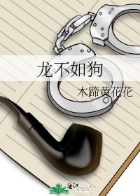 龙不如狗