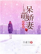 席少的呆萌嬌妻